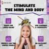 SHASHIBO Teenage Mutant Ninja Turtles Shape Shifting Box – STEM Magnetic Fidget Cube That Transforms Into Over 100 Shapes, Download Fun in Motion Toys Mobile App (Donnie)(Turtles – Donnie Series 1)